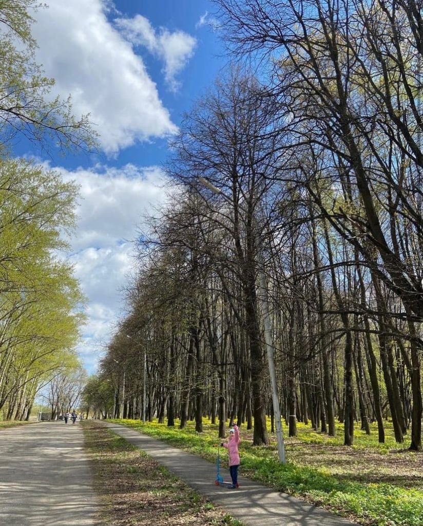 Лесопарк рязань фото сейчас